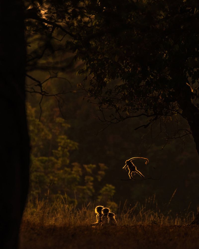 Photograph by Abhaya Shukla