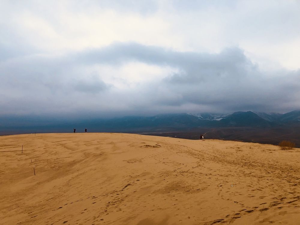 Фотография автора Литвинова Ольга