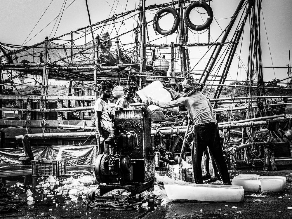 Photograph by Susmita Paul