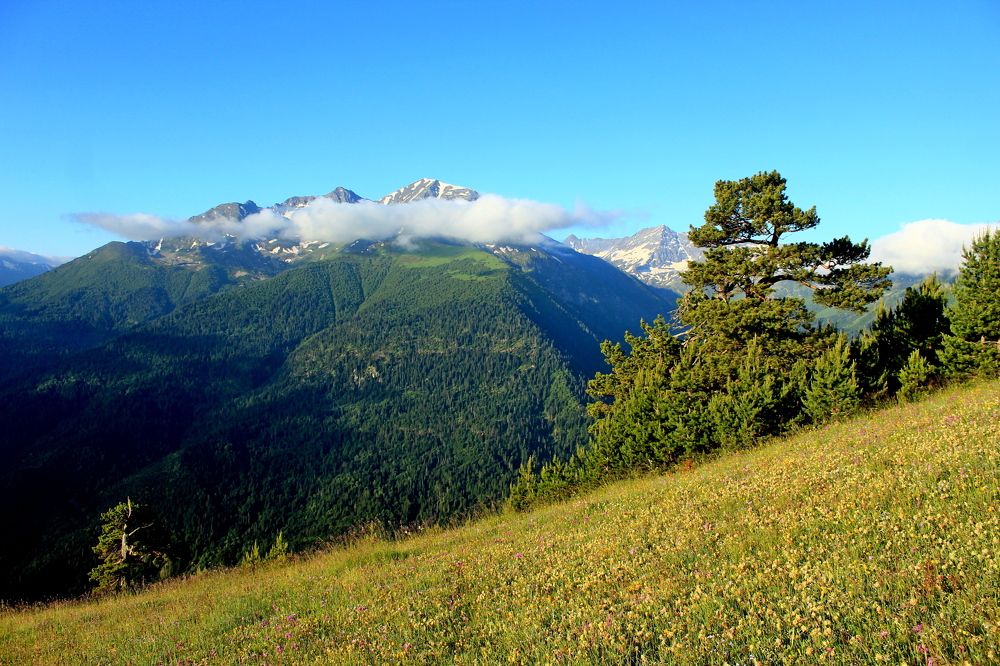 Photograph by Сергей Смоленцев