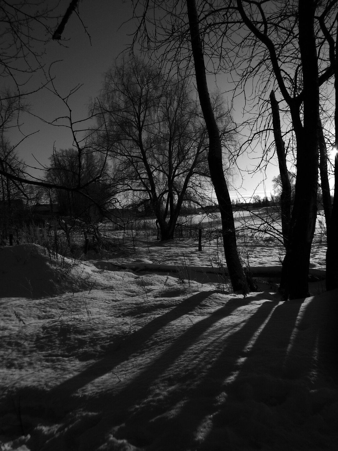 Photo #10322817