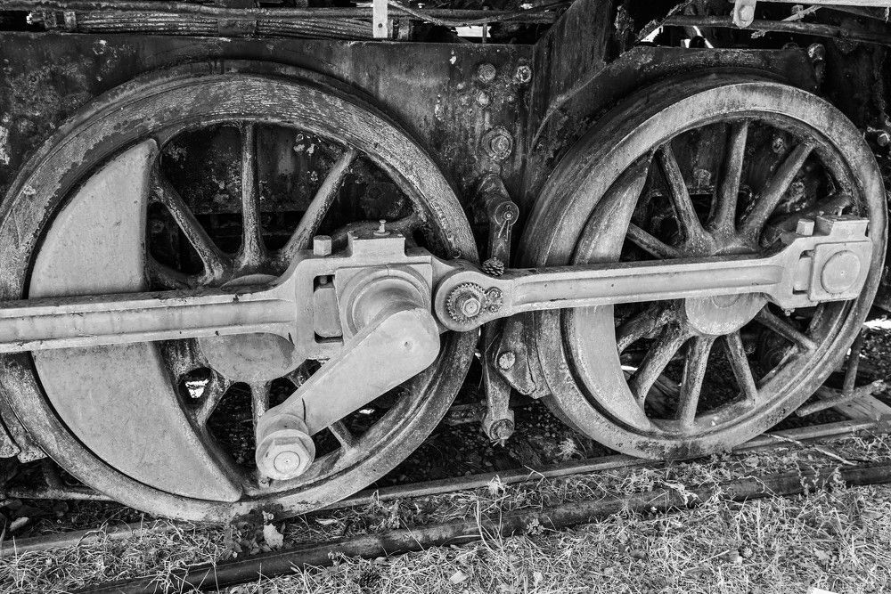 Фотография автора DIMITRIS MPAZIOTOPOULOS