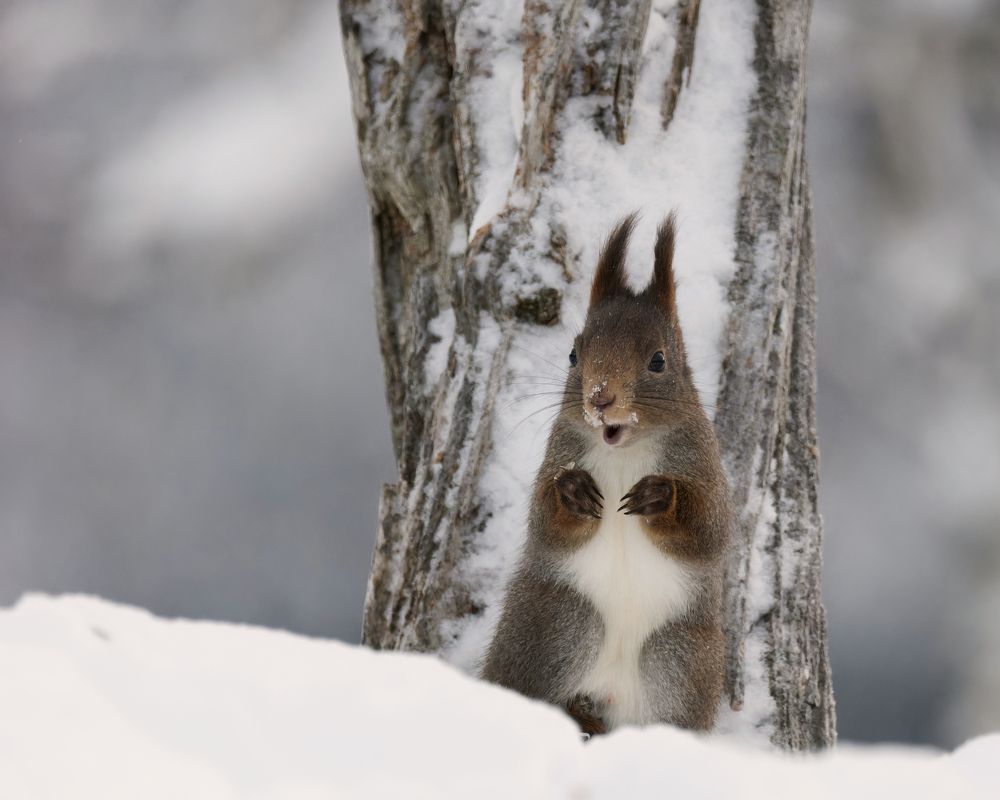Photograph by Jørgen Hovde