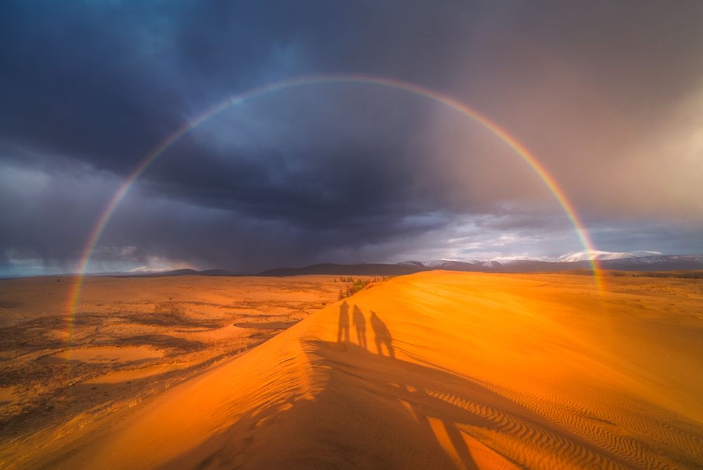 Photograph by Полякова Наталия