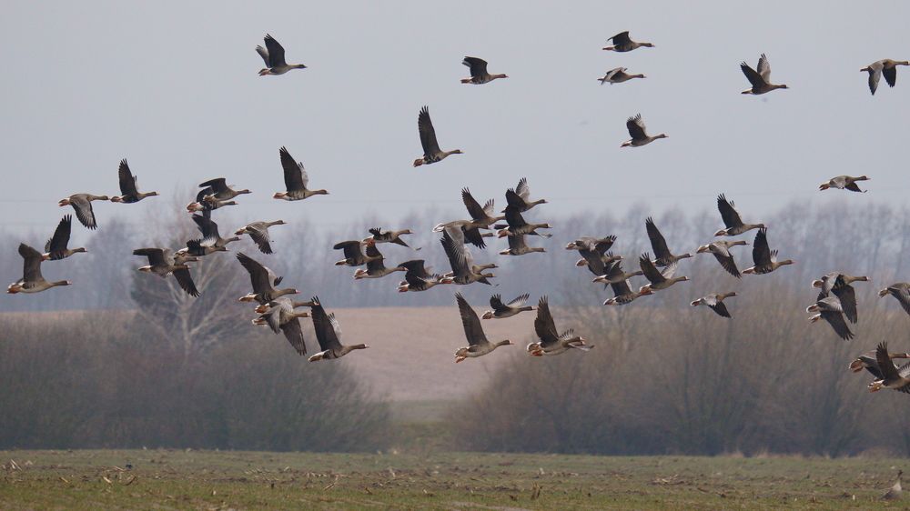 Photograph by Дмитрий Дрозд