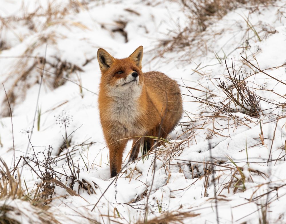 Photograph by Vladimir Pakalevich
