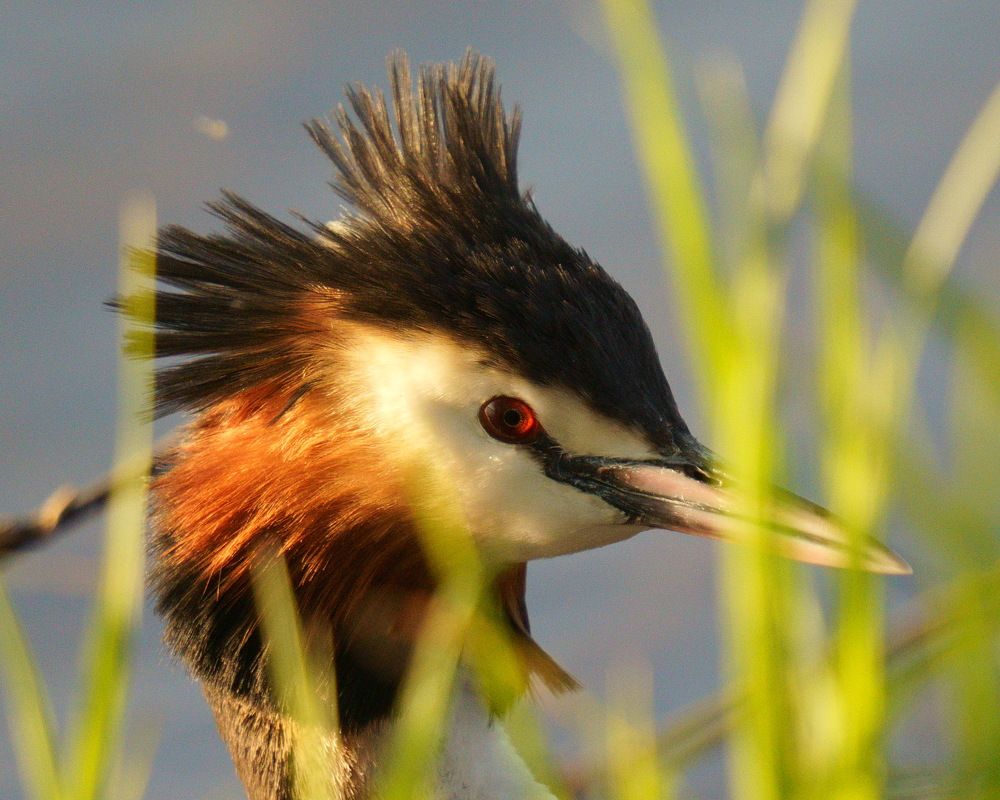 Photograph by Дмитрий Дрозд