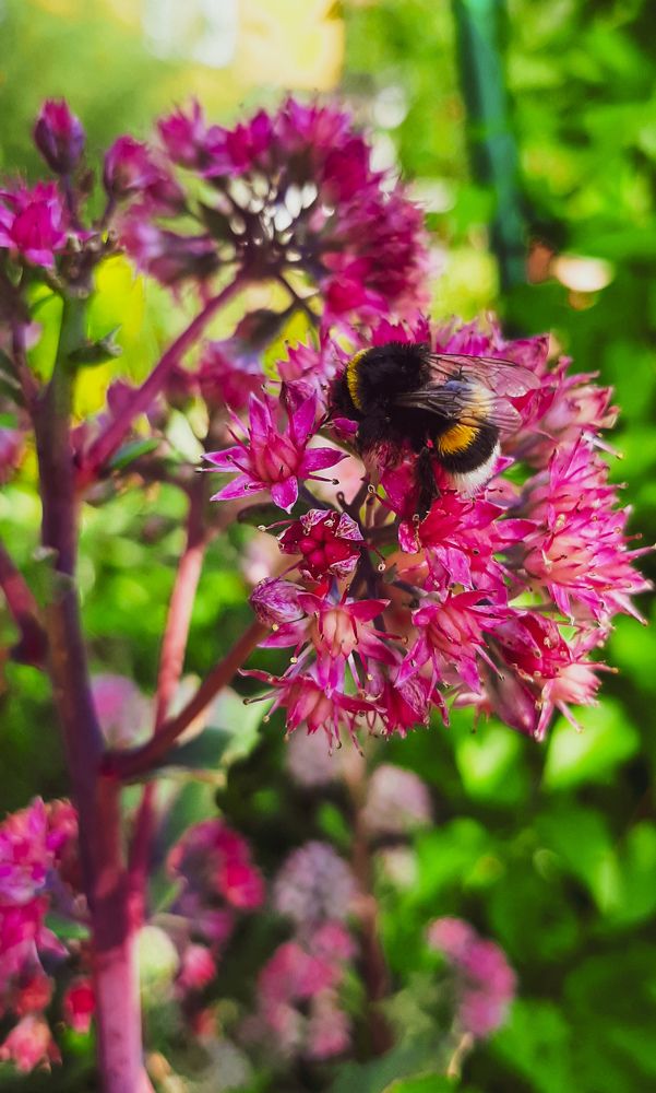 Фотография автора Валерия