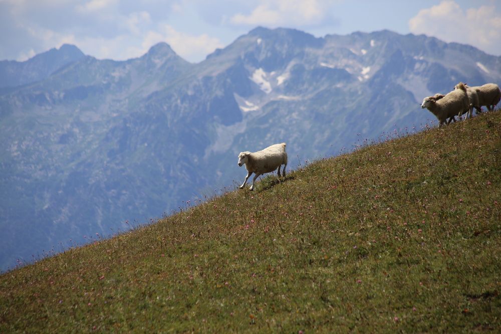 Фотография автора Innokentii Riabchikov