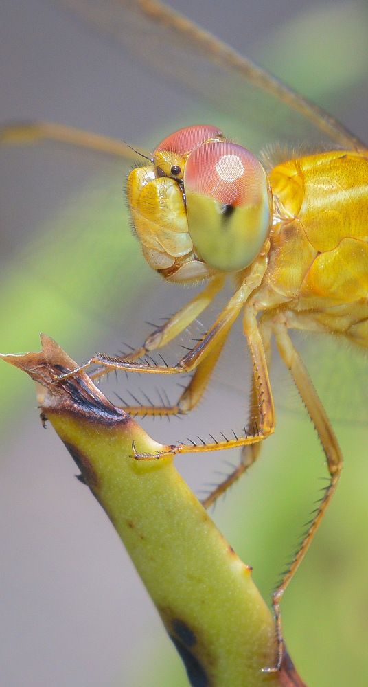 Photograph by Priyanka Dey Das