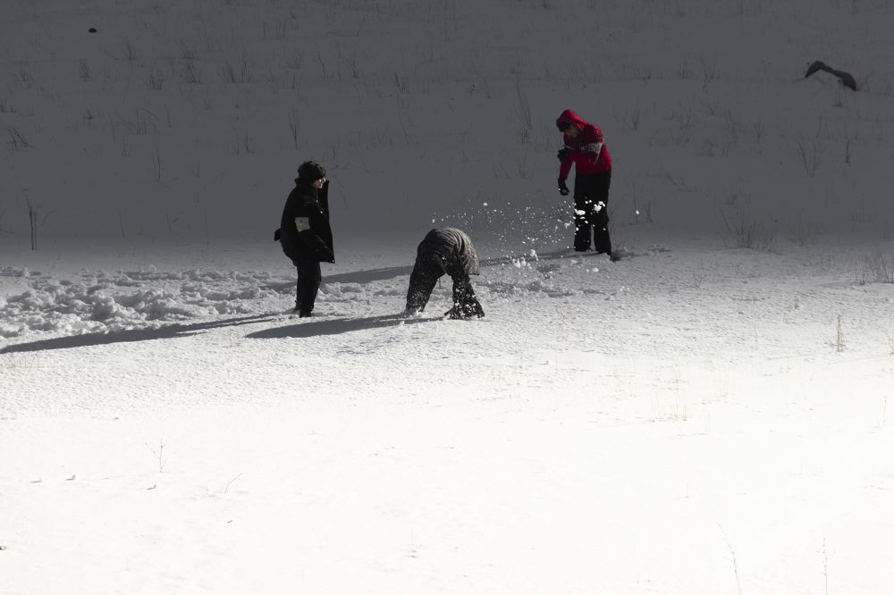 Photograph by Golshid Balaghi Bakhshayesh