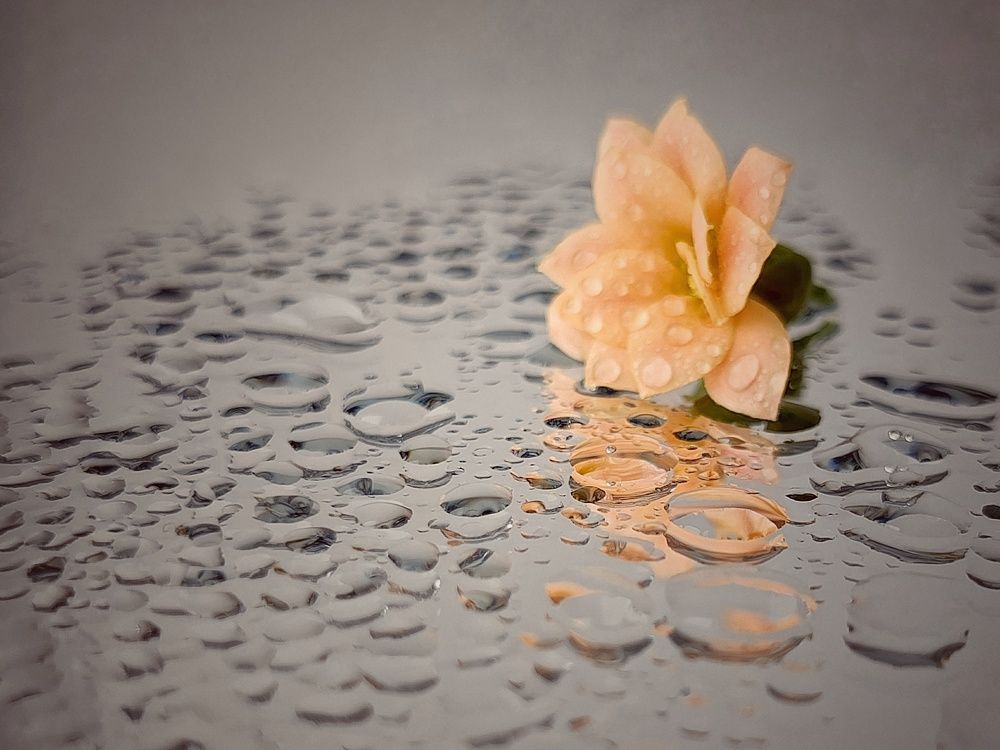 Photograph by Александра Ламанова