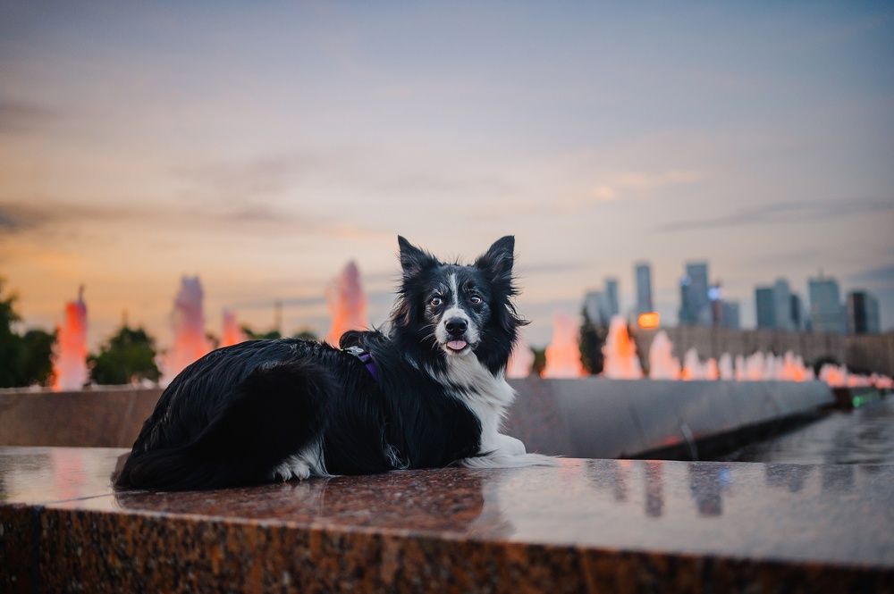 Photograph by Kate Entsi