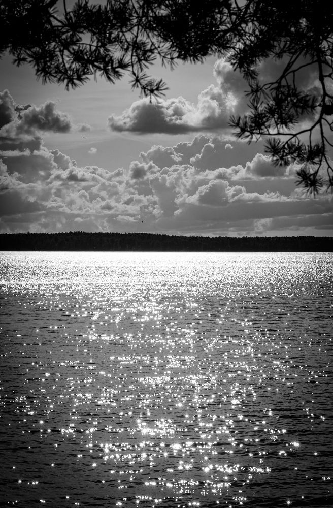 Дуновение лета