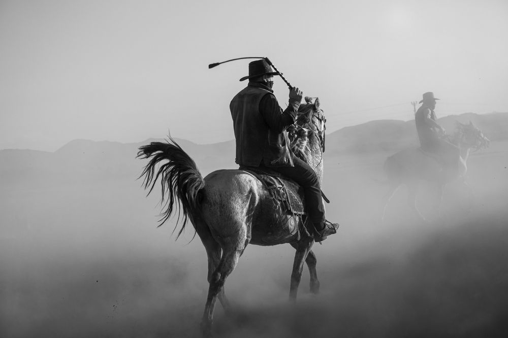 Фотография автора Aylin Turnator