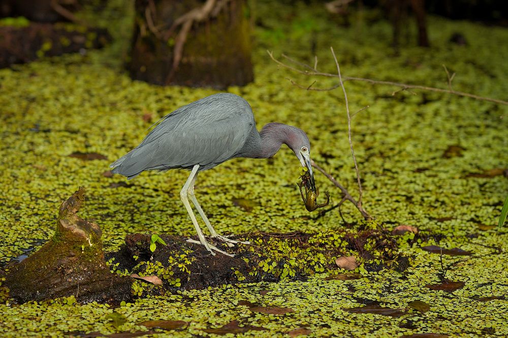 Photograph by Eugene Artjomenko