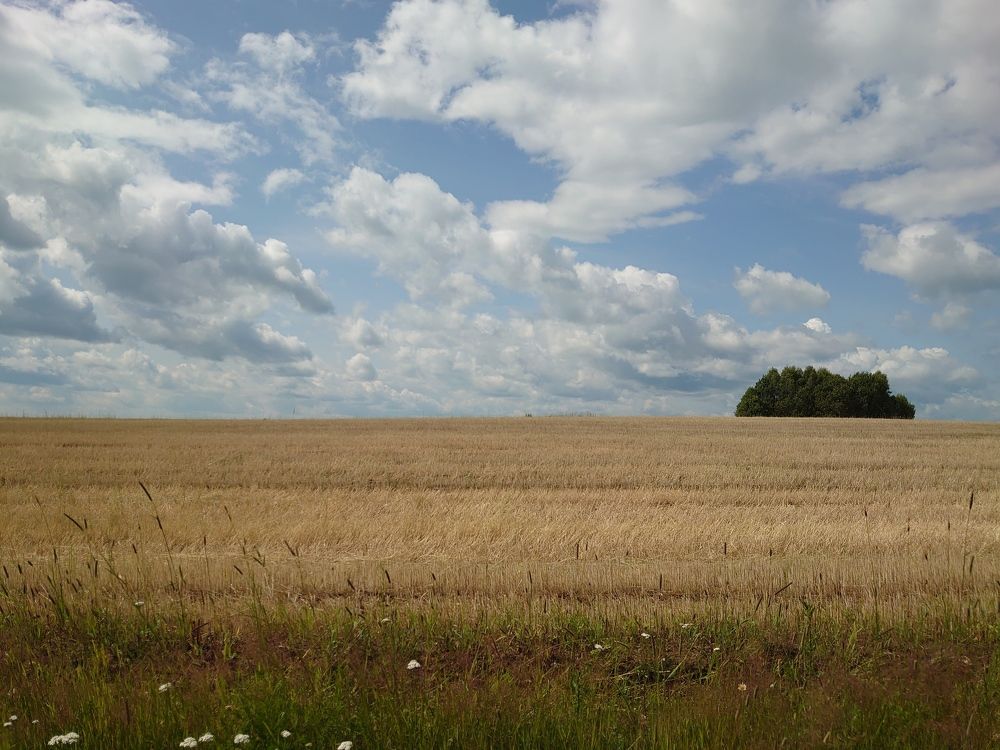 Photograph by Наталия Игоревна