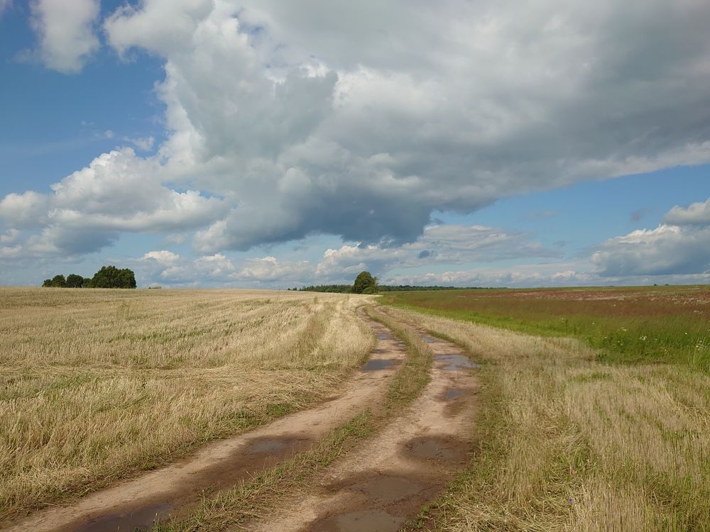 Photograph by Наталия Игоревна