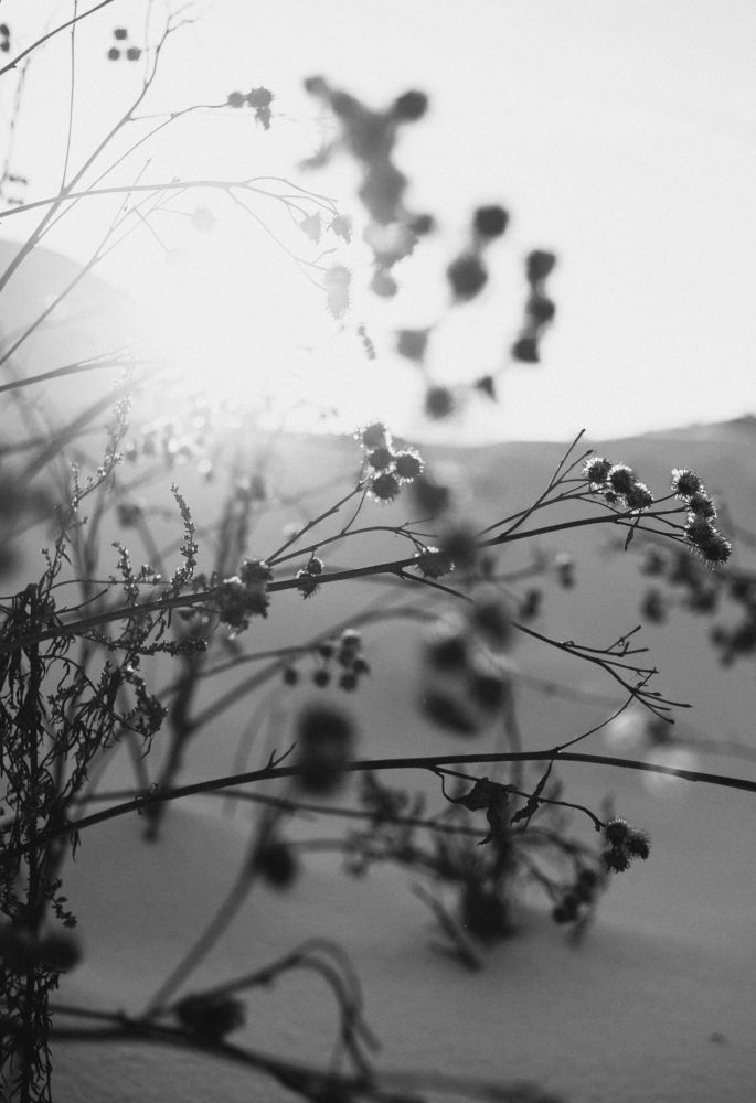 Photograph by Валерия Карпушина