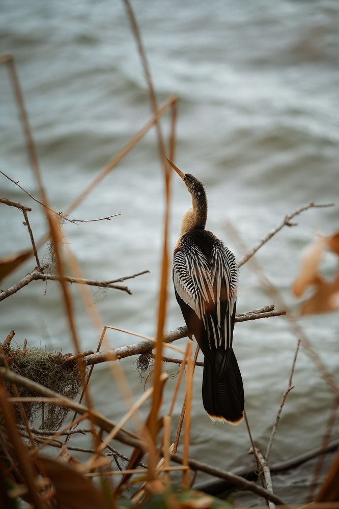 Photograph by Eugene Artjomenko