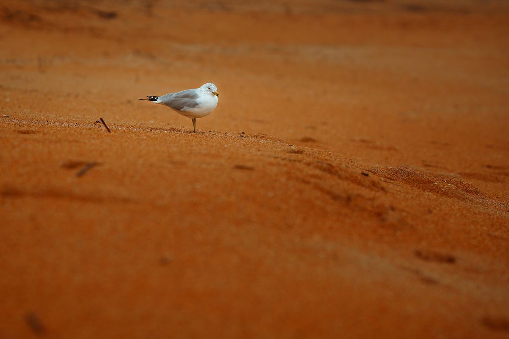 Photograph by Eugene Artjomenko