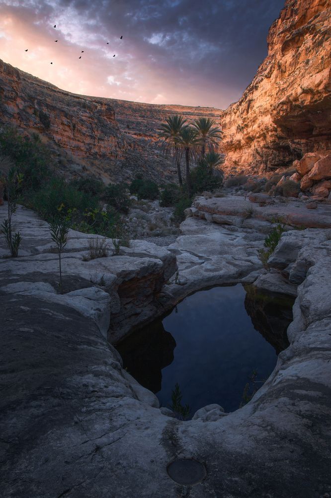 Photograph by Zineddine Benidir
