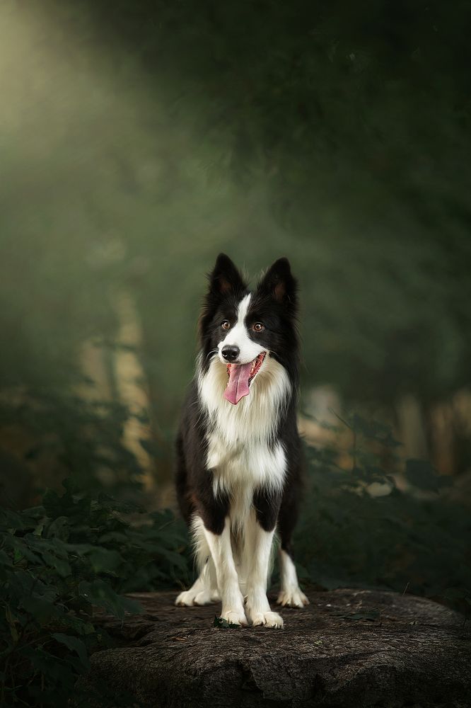 Photograph by 温琪耀