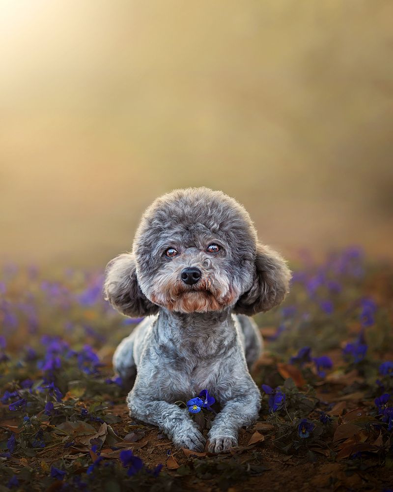 Photograph by 温琪耀