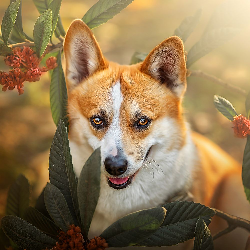 Photograph by 温琪耀