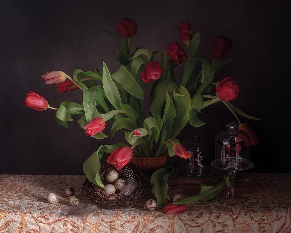 Фотография автора Виктория Шаманова