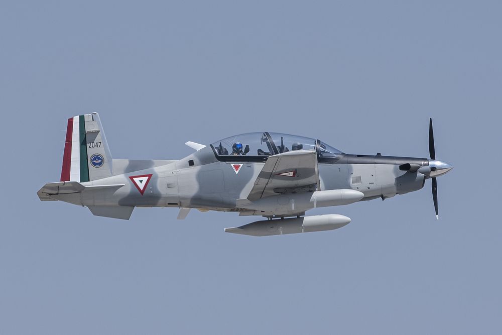 Photograph by Aлена Плясова