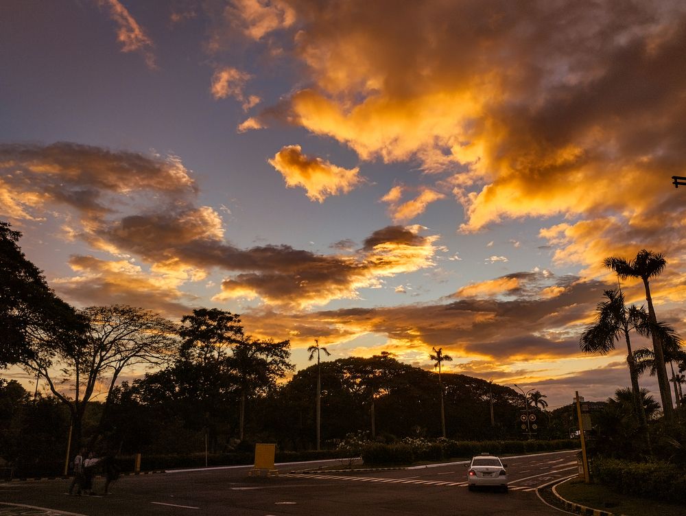 Photograph by Kane Pedroso