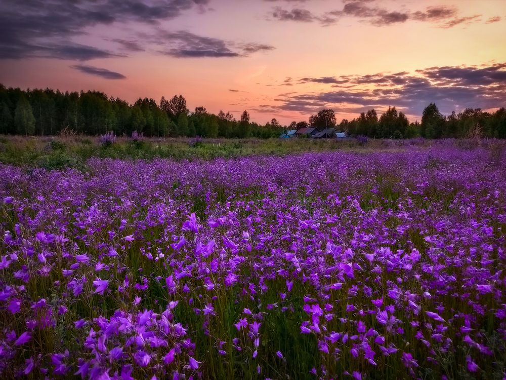 Photograph by Марина Мурашова