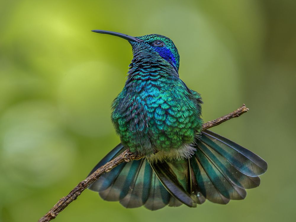 Photograph by Juan Carlos Fonseca