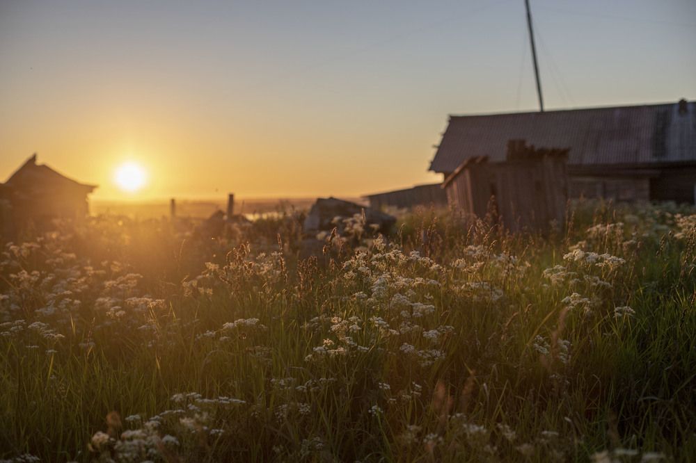 Photograph by Elena Kostochkina