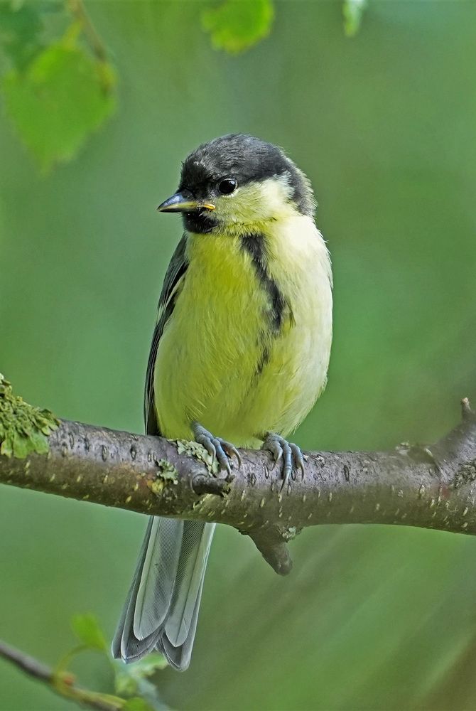 Photograph by Михаил Трусов