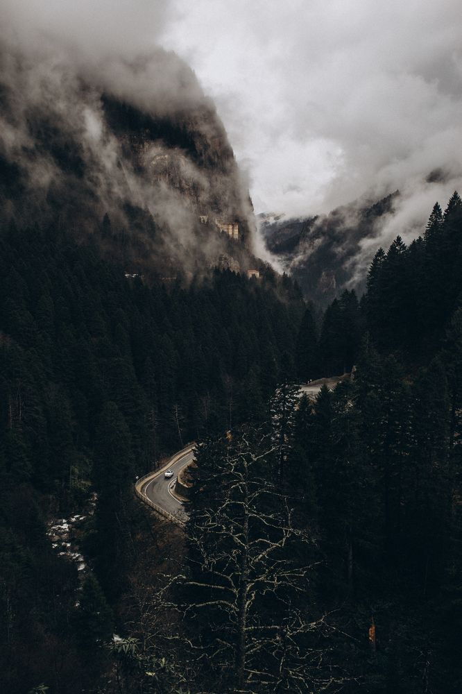 Photograph by Лилия Эссерт