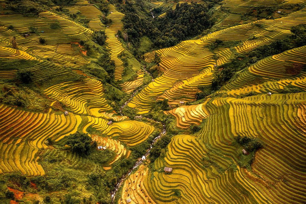 Photograph by Do Thi Thanh Binh