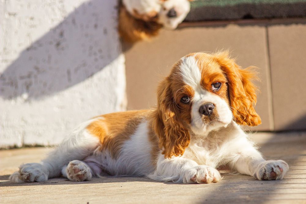 Photograph by Алексей Борисов