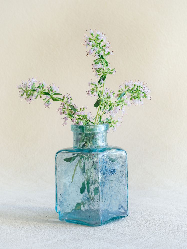 Photograph by Людмила Аксенова