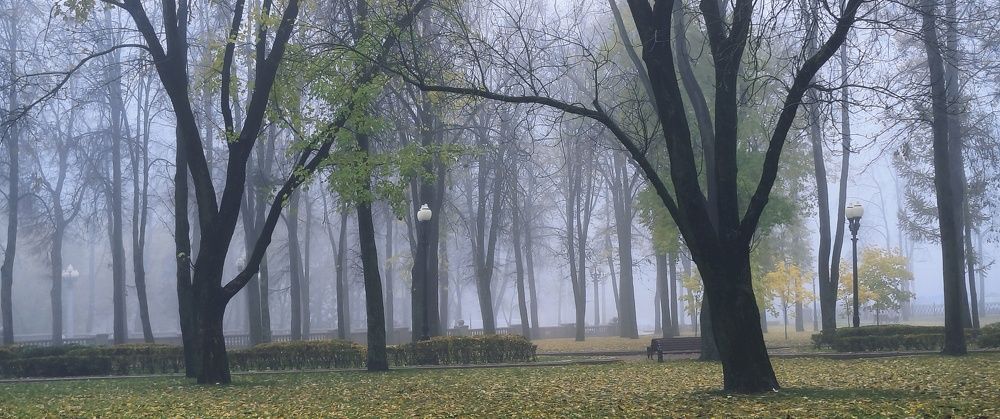 Photograph by Halina Basyanok