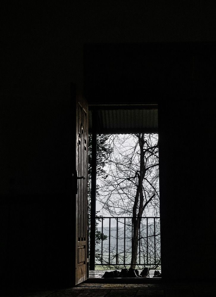 Photo #10324001