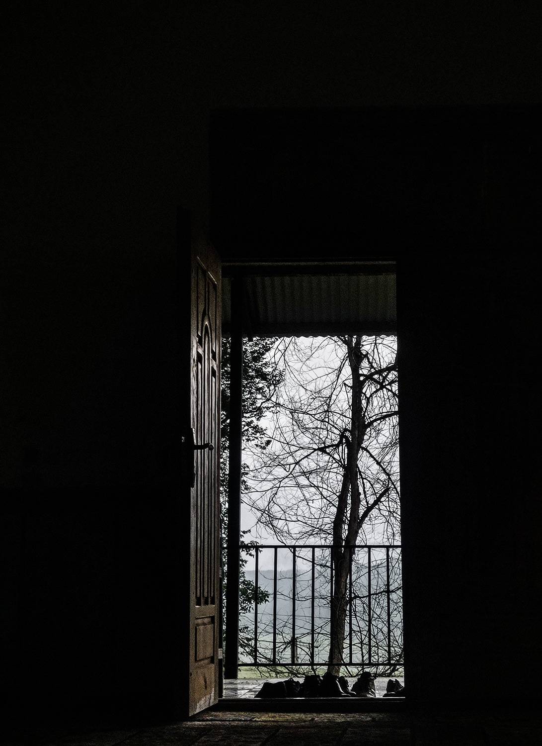 Photo #10324001