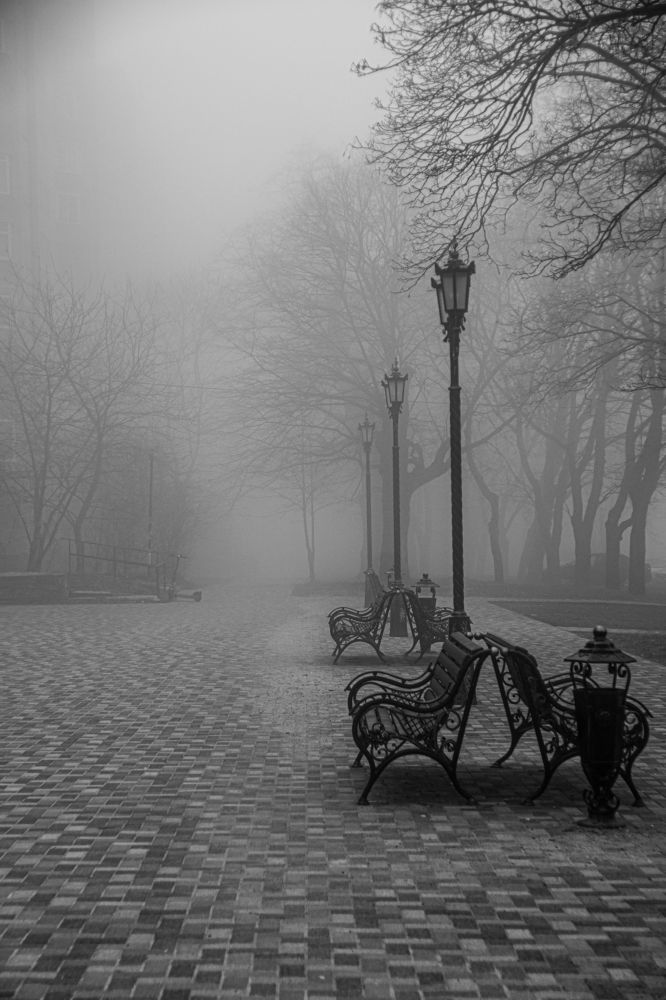 Photograph by 