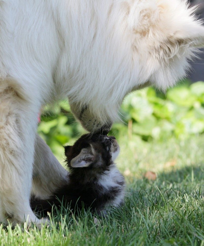 Photograph by Софья Сагитова