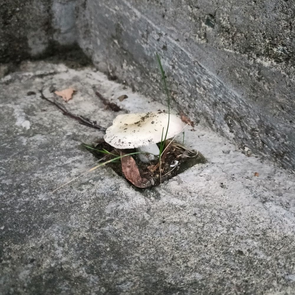 Photograph by Анна