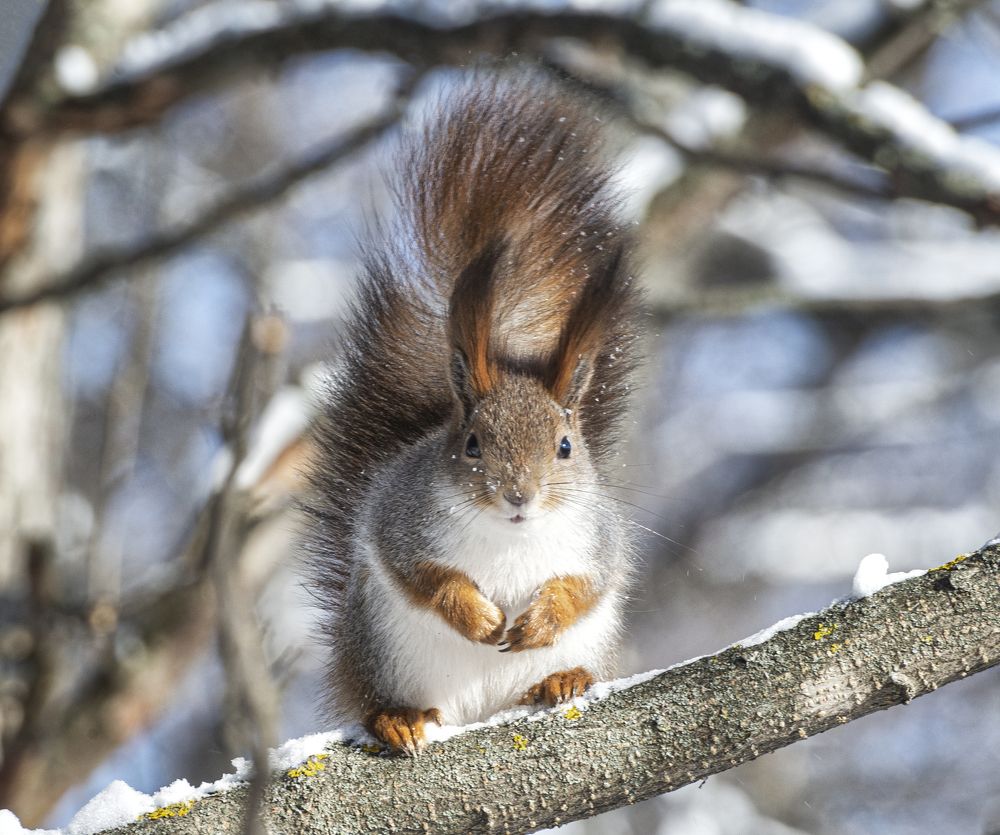 Photograph by Кирилл Аксенов
