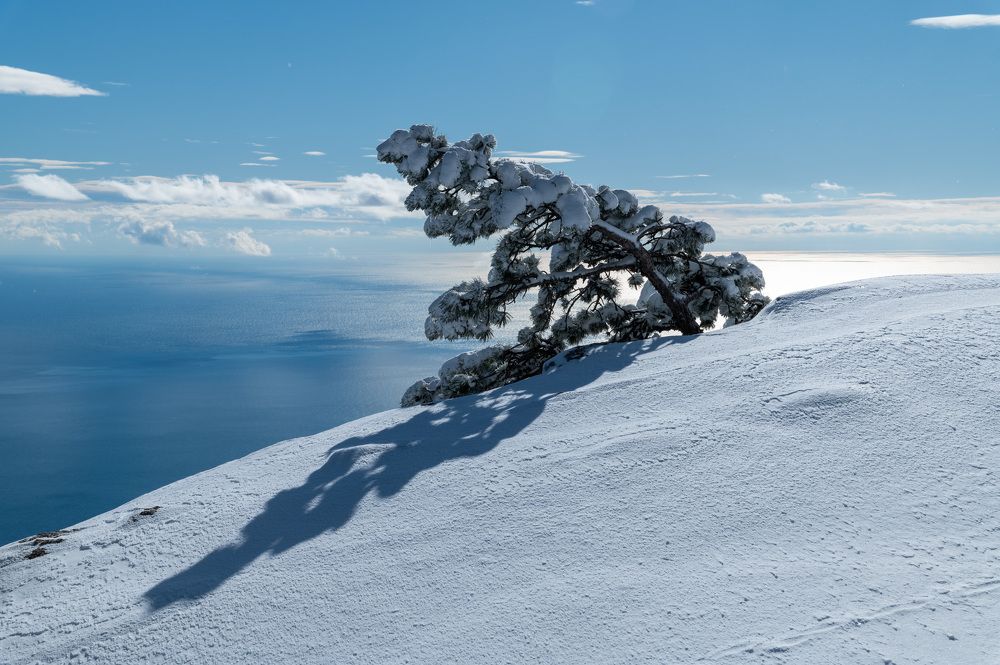 Photograph by Екатерина Крючкова