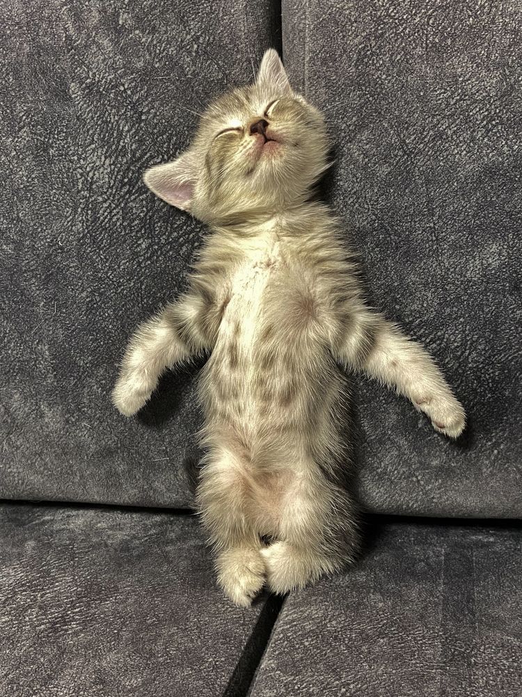 Photograph by Юлия