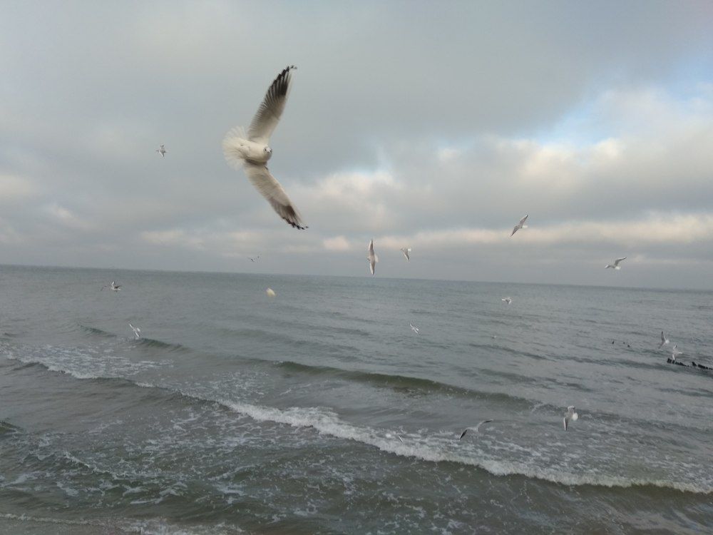 Photograph by Evgesha K